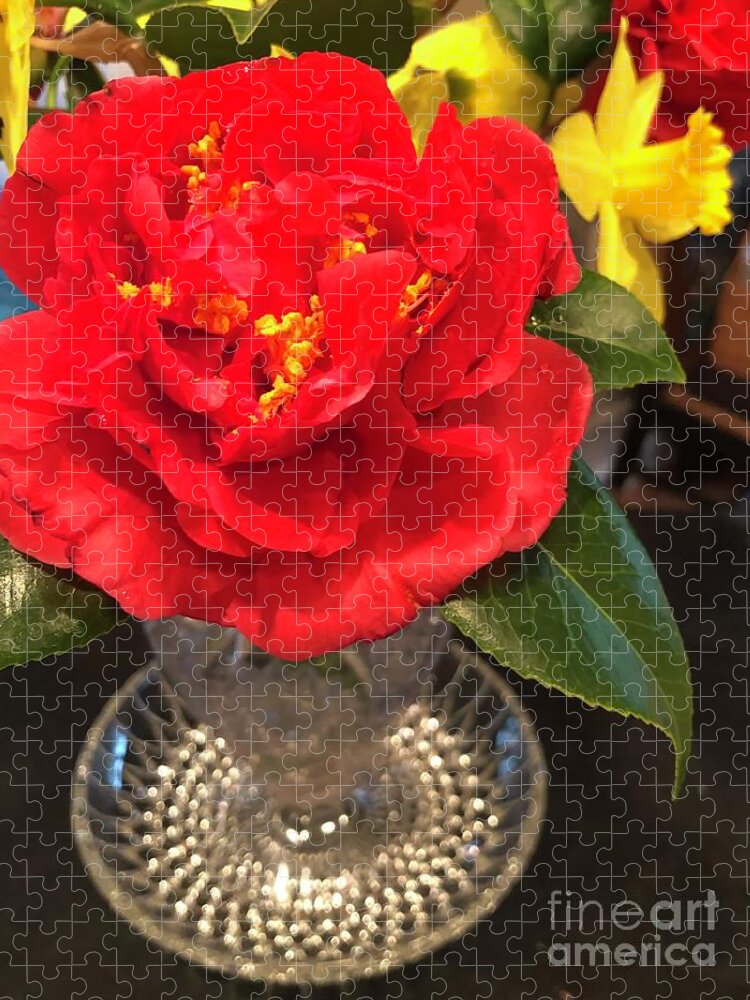 Kramer Supreme Camellia Japonica Jigsaw Puzzle featuring the photograph Clayton North Carolina Kramer Supreme Camellia Japonica by Catherine Ludwig Donleycott
