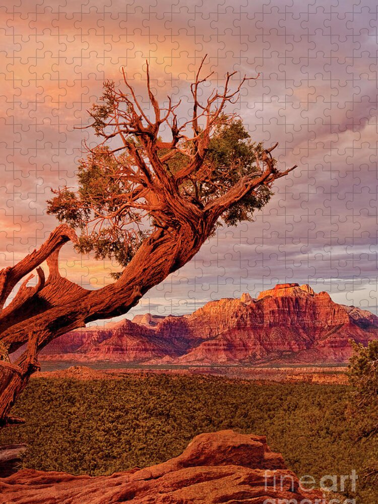 Dave Welling Jigsaw Puzzle featuring the photograph Clearing Storm And West Temple South Of Zion National Park by Dave Welling
