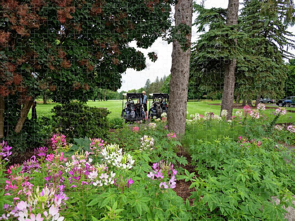 Lakelands Golf And Country Club Jigsaw Puzzle featuring the photograph Cleome on the Course by Jill Love