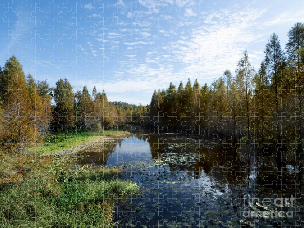 Wetland Jigsaw Puzzle featuring the photograph Cliff Stepens Park is a Surprising Wetland in Clearwater Florida by L Bosco