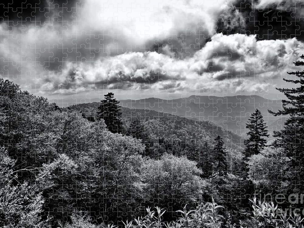 Clingmans Dome Jigsaw Puzzle featuring the photograph Clingmans Dome 10 by Phil Perkins