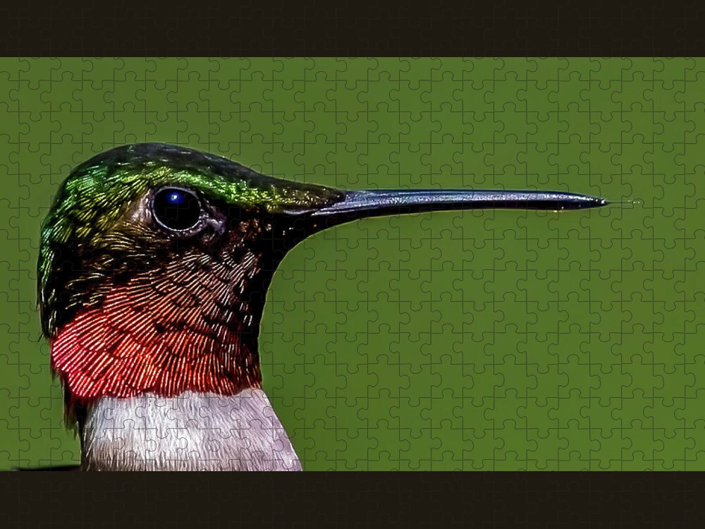 Animal Jigsaw Puzzle featuring the photograph Closeup Hummingbird by Brian Shoemaker