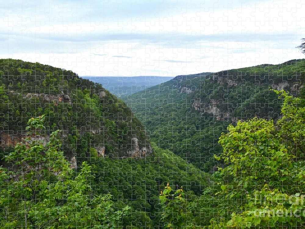 Hemlock Falls Jigsaw Puzzle featuring the photograph Cloudland Canyon State Park 1 by Phil Perkins