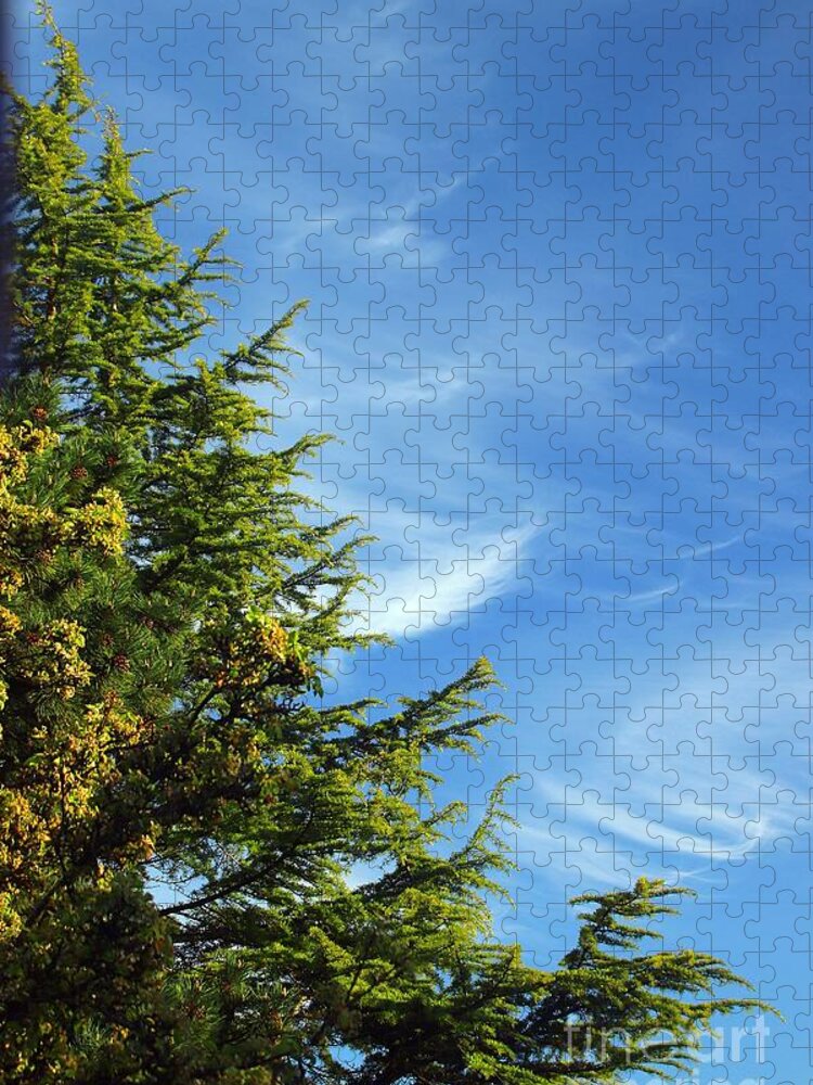Clouds Jigsaw Puzzle featuring the photograph Clouds Imitating Trees by Kimberly Furey