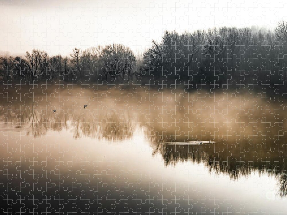 Atmosphere Jigsaw Puzzle featuring the photograph Clouds Of Mist Over The Watershed Of National Park River Danube Wetlands In Austria by Andreas Berthold