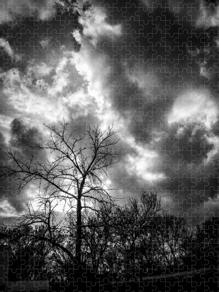 Clouds Jigsaw Puzzle featuring the photograph Cloudy Day Trees by W Craig Photography