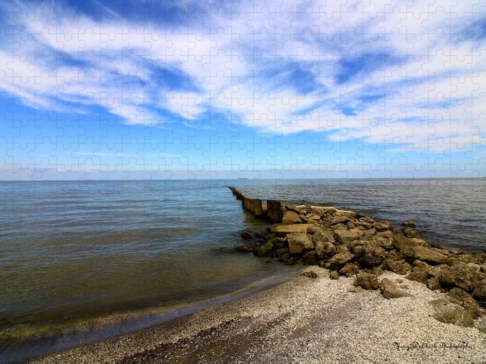 Lake Erie Jigsaw Puzzle featuring the photograph Coastal Ohio Series 1 by Mary Walchuck