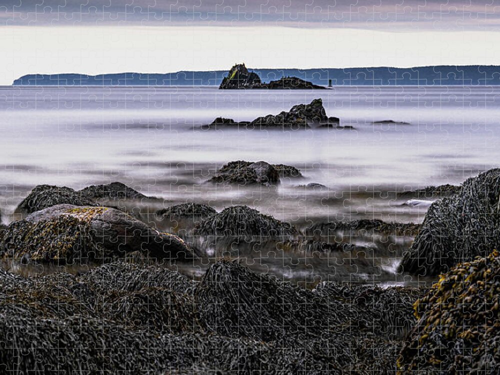 Rockweed Laden Jigsaw Puzzle featuring the photograph Coastal Outcrops At Quoddy by Marty Saccone