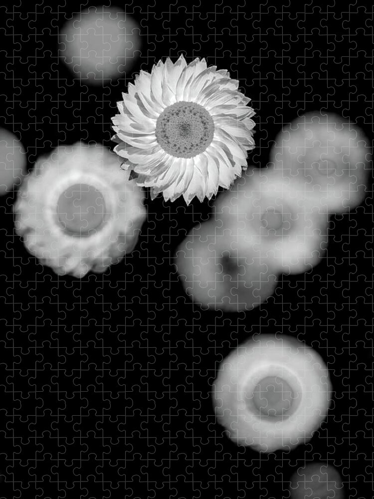 Beautiful Black And White Flower Jigsaw Puzzle featuring the photograph Cogs Of Life by Az Jackson