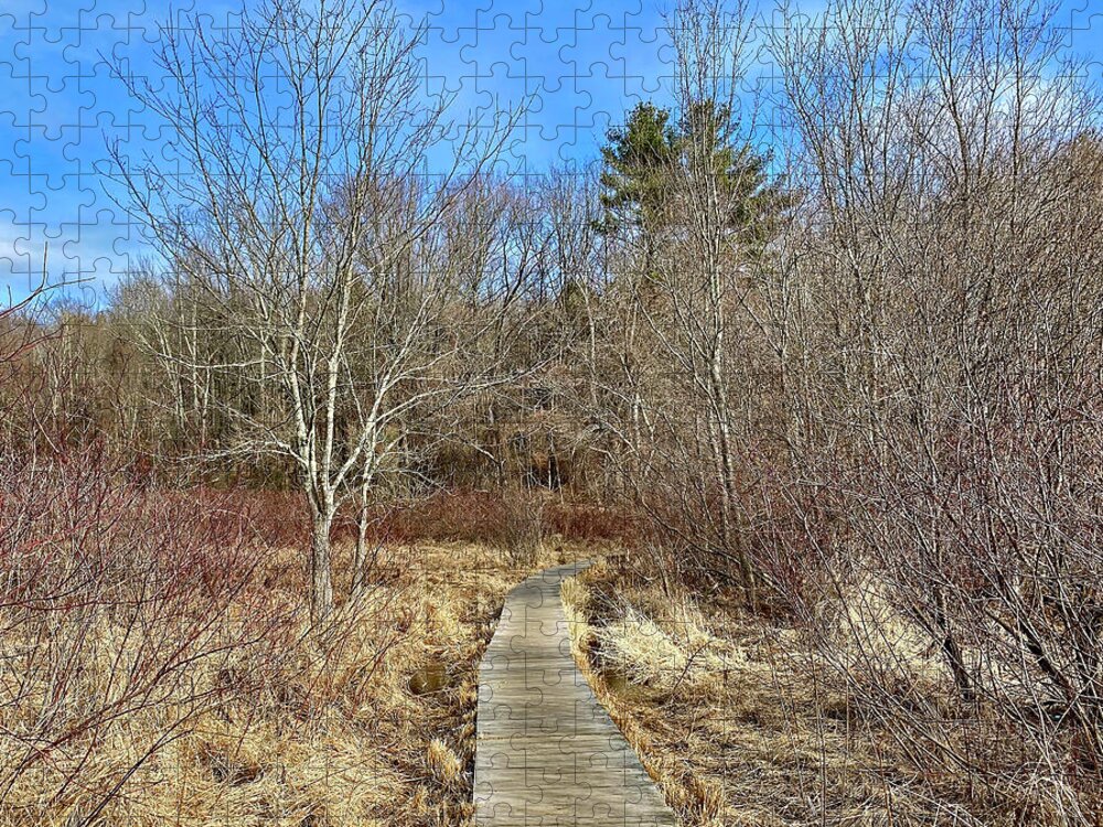 Cold Jigsaw Puzzle featuring the photograph Cold Harbor Trail by Monika Salvan