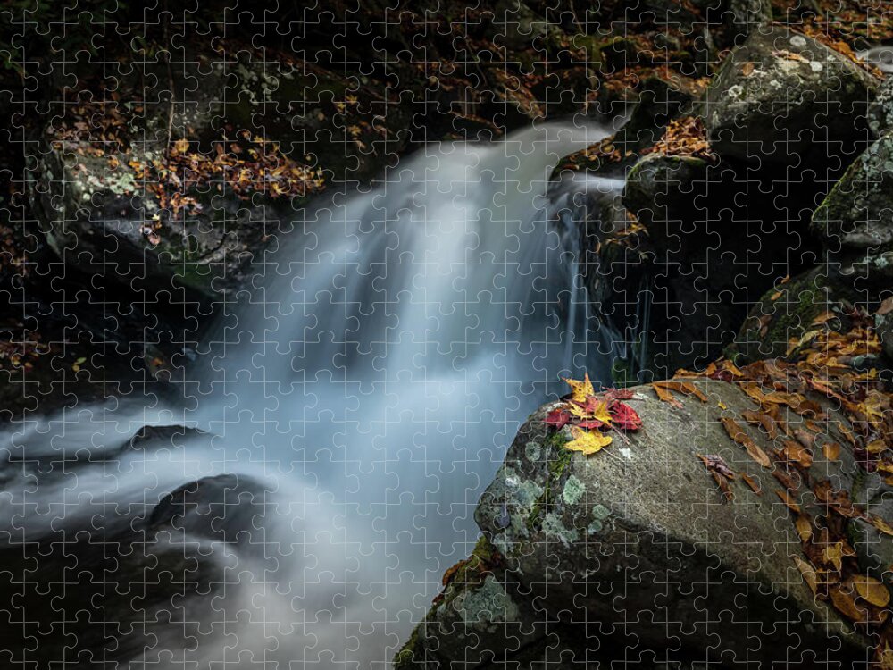 Fall Colors Jigsaw Puzzle featuring the photograph Cold Mountain Cascade by Darrell DeRosia