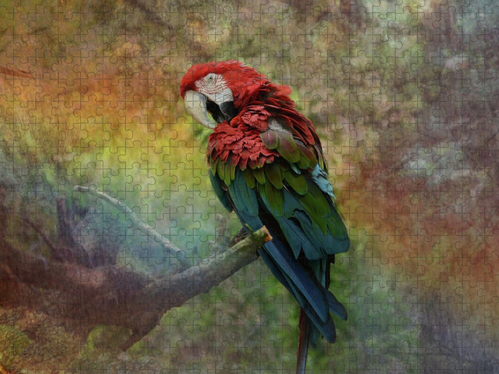 Parrot Jigsaw Puzzle featuring the photograph Color my world by Patricia Dennis