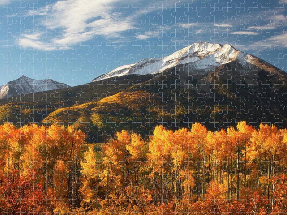 Aspen Jigsaw Puzzle featuring the photograph Colorado Gold by Darren White
