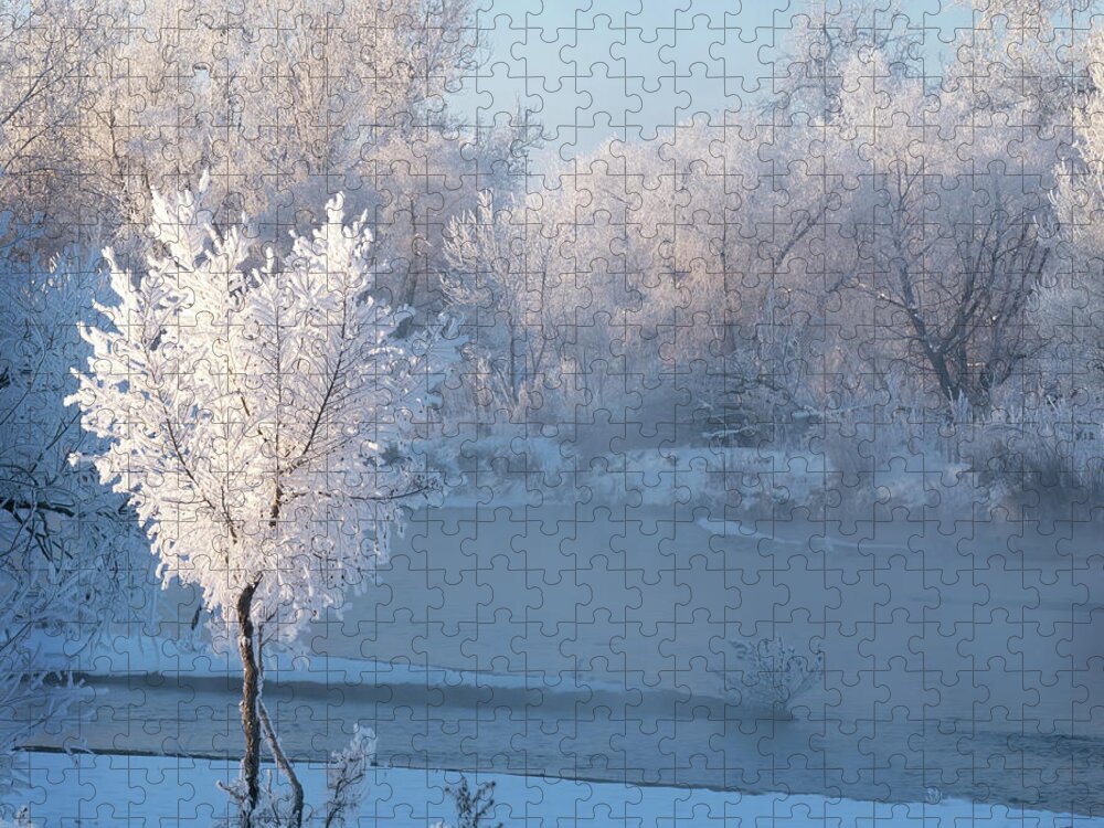 Winter Jigsaw Puzzle featuring the photograph Colorado White Magic by Judi Dressler