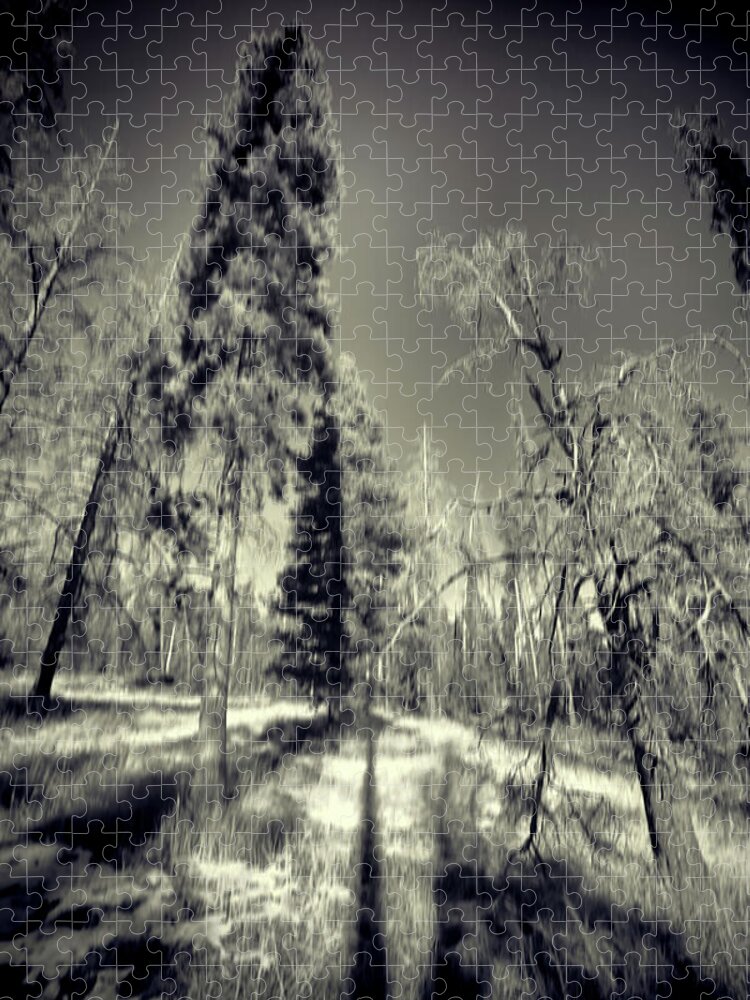 Colorado Trees Jigsaw Puzzle featuring the photograph Colorado Trees Pinhole BW by Cathy Anderson