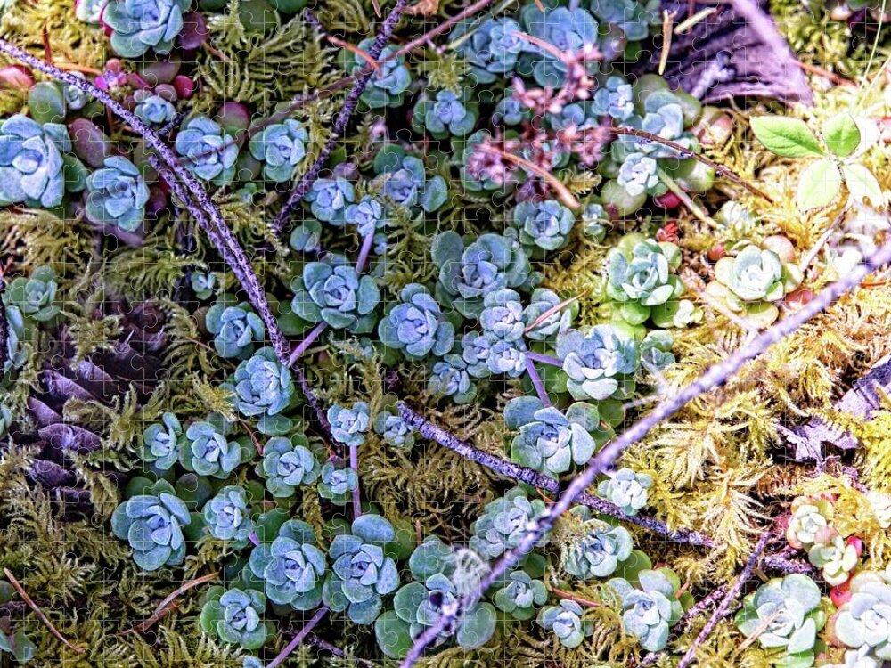 Background Jigsaw Puzzle featuring the photograph Colorful Forest Floor by David Desautel