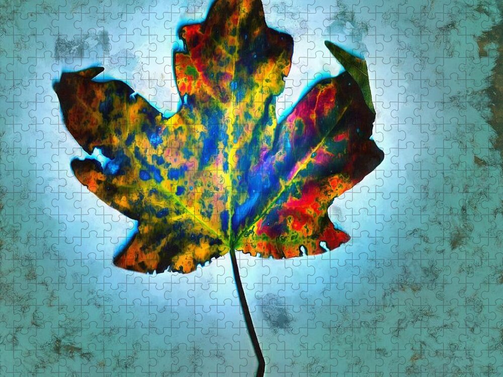 Leaf Jigsaw Puzzle featuring the mixed media Colorful Leaf by Christopher Reed