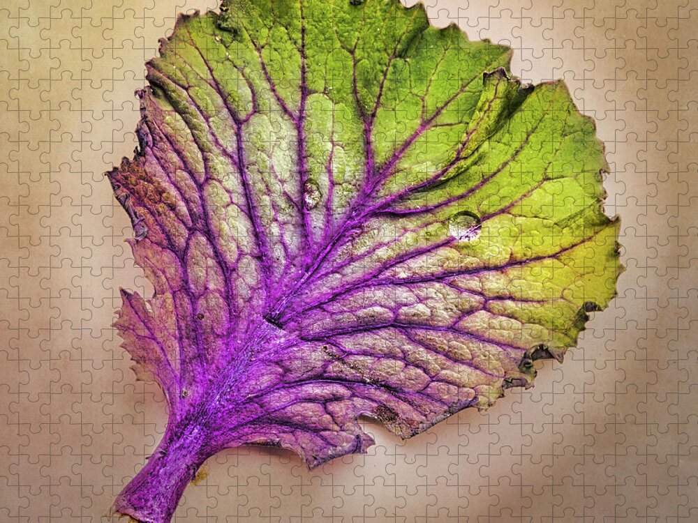 Leaf Jigsaw Puzzle featuring the photograph Colorful Leaf by Gary Slawsky