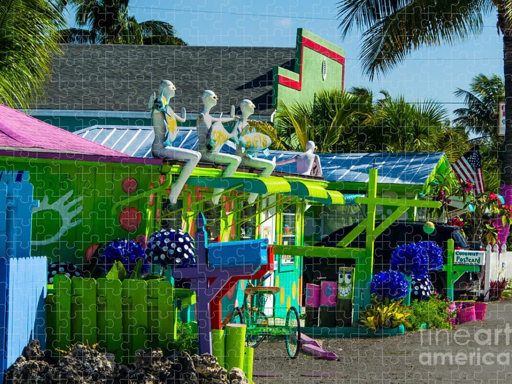Pine Island Jigsaw Puzzle featuring the photograph Colorful Pine Island Florida by L Bosco