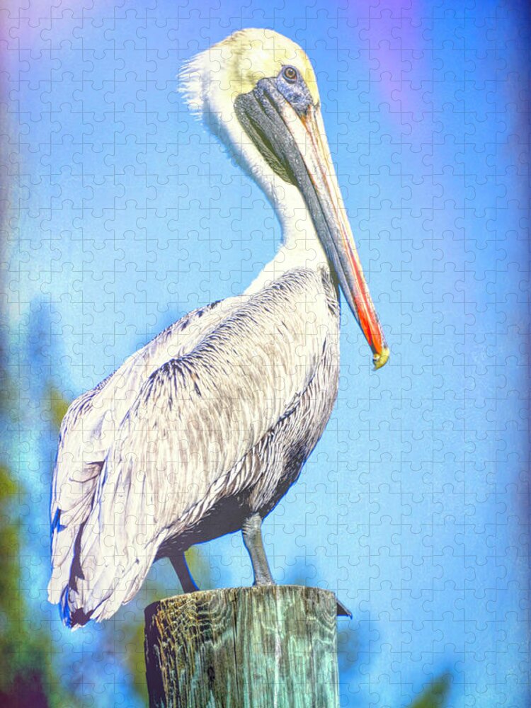 Pelican Jigsaw Puzzle featuring the photograph Colorfulcan by Alison Belsan Horton