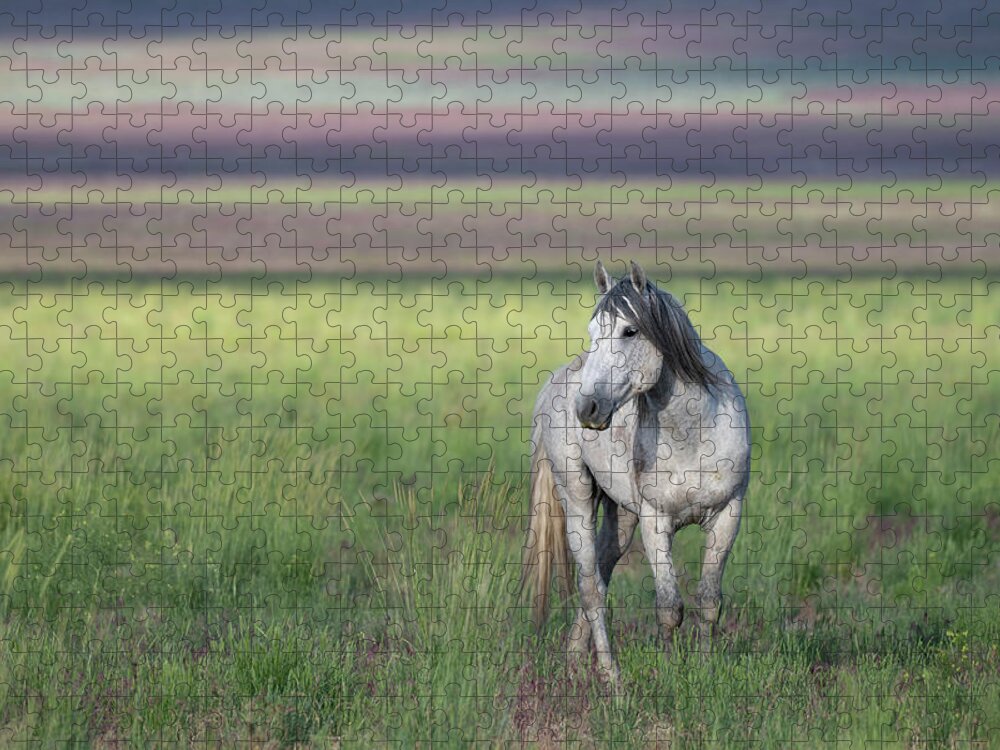 Wild Horse Jigsaw Puzzle featuring the photograph Colors by Mary Hone