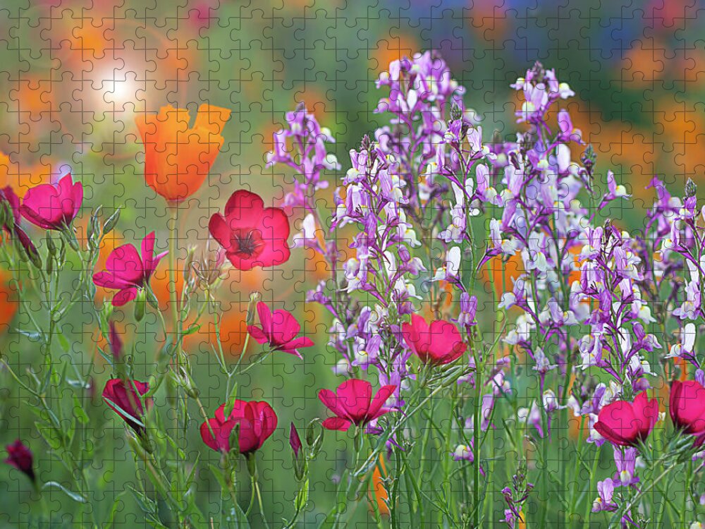 Spring Jigsaw Puzzle featuring the photograph Colors of Spring by Vanessa Thomas