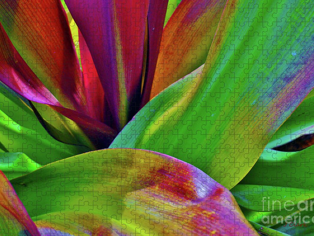Colour Jigsaw Puzzle featuring the photograph Colour Leaf 2 by John Clark