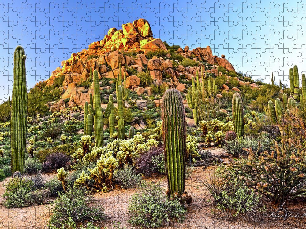 Landscape Jigsaw Puzzle featuring the photograph Come Away My Beloved by Brian Tada