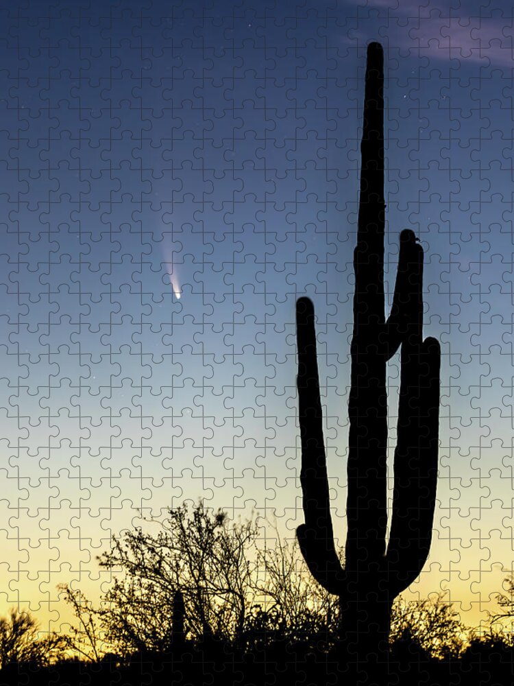 American Southwest Jigsaw Puzzle featuring the photograph Comet NEOWISE and Saguaro by James Capo