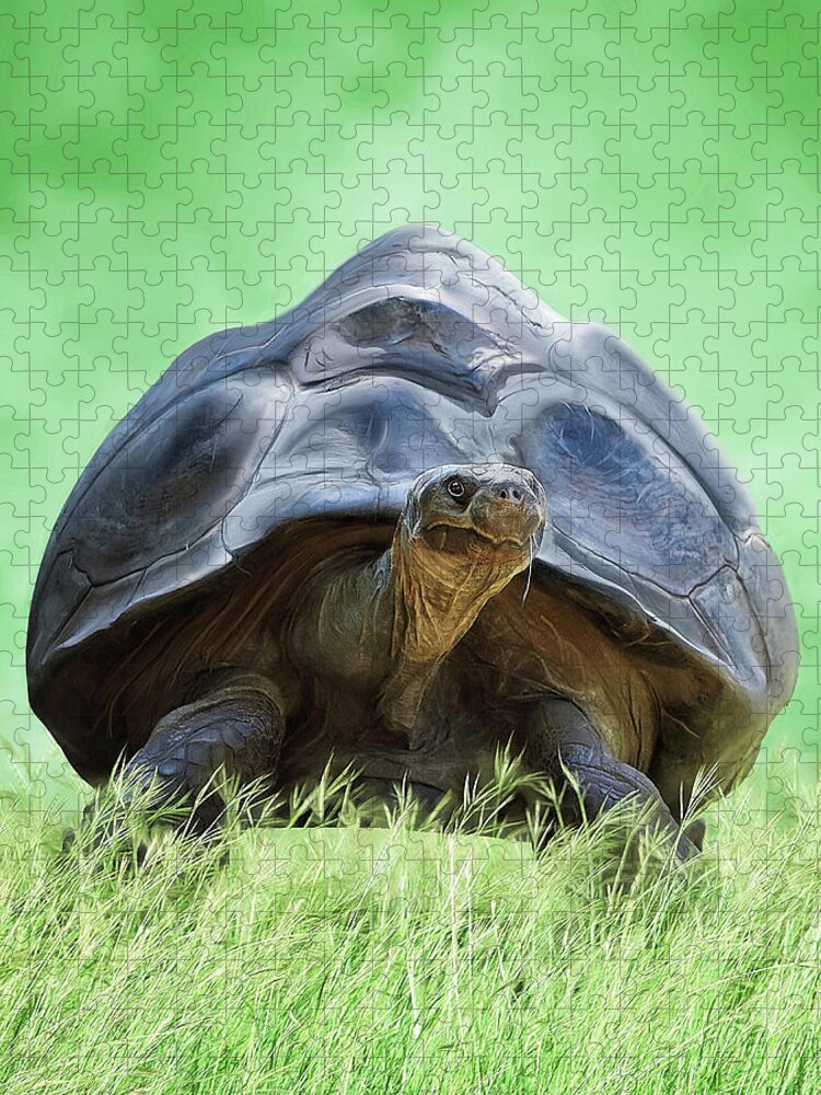 Tortoise Jigsaw Puzzle featuring the digital art Coming Through  Eventually by Brad Barton
