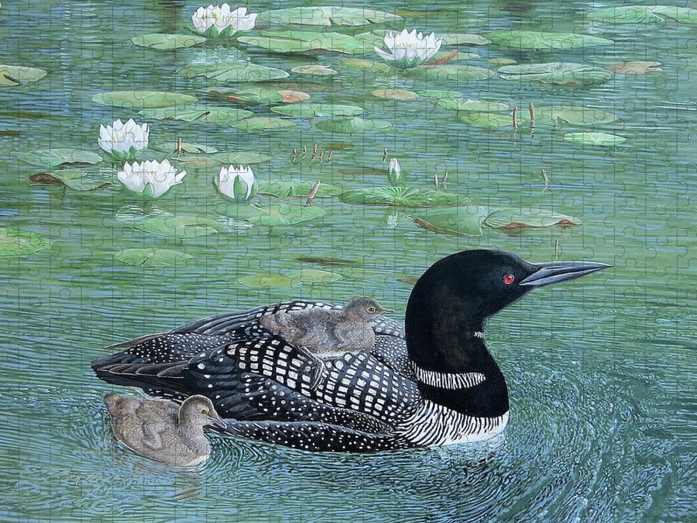 Barry Kent Mackay Jigsaw Puzzle featuring the painting Common Loon by Barry Kent MacKay