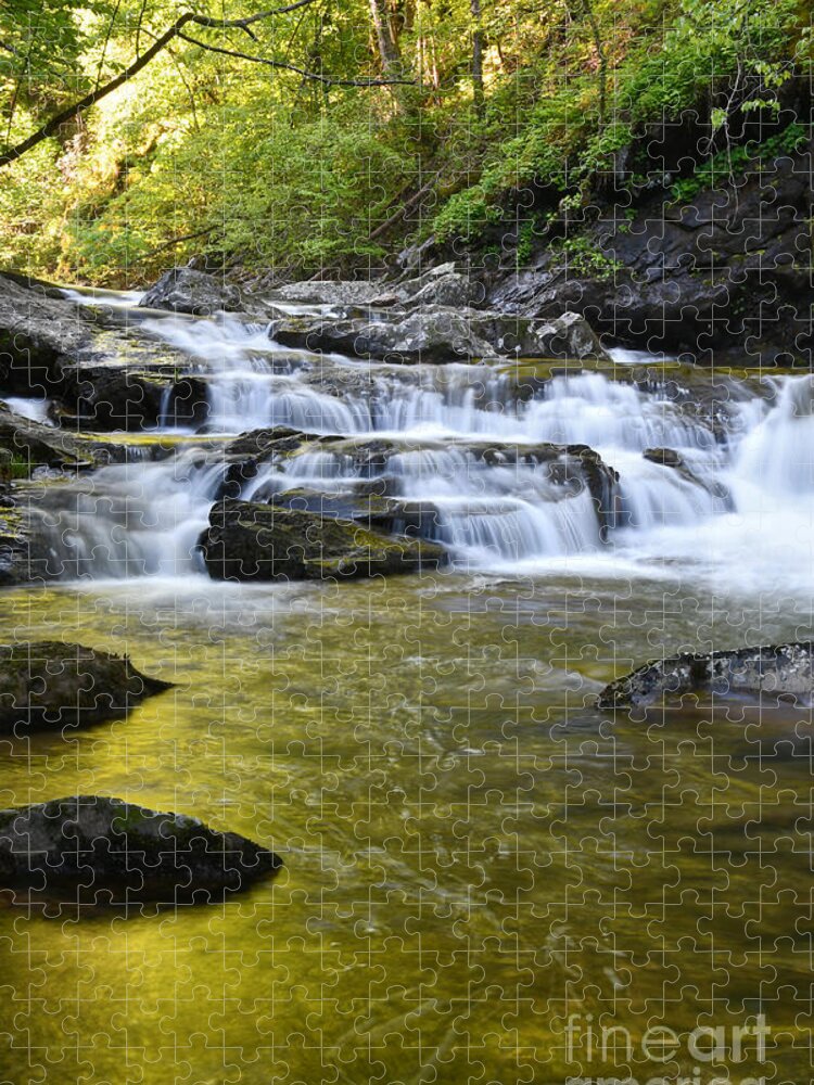 Conasauga Falls Jigsaw Puzzle featuring the photograph Conasauga Waterfall 5 by Phil Perkins