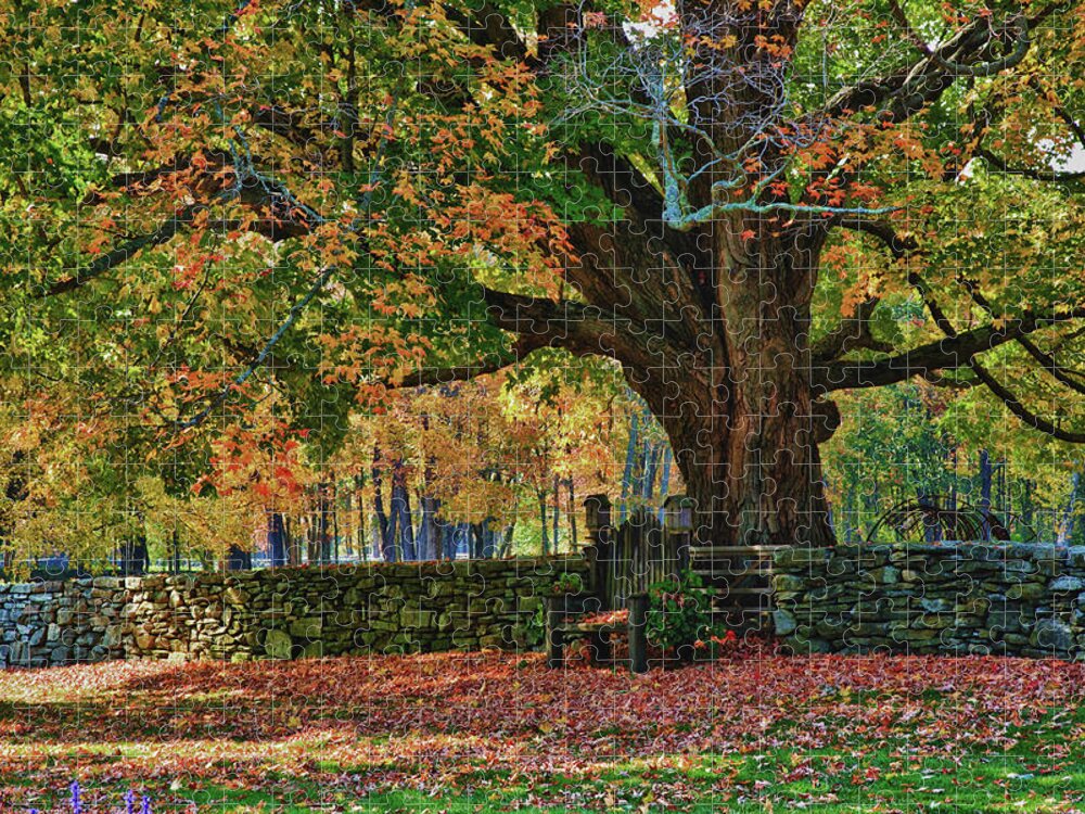 Autumn Jigsaw Puzzle featuring the photograph Connecticut fall colors by Jeff Folger
