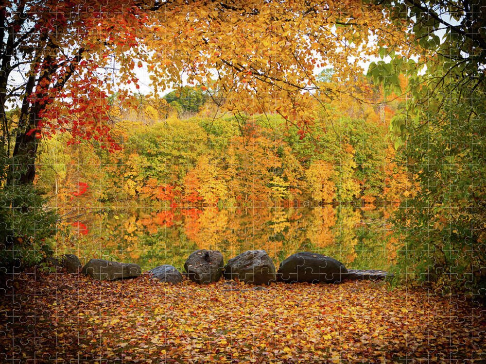 Foliage Jigsaw Puzzle featuring the photograph Connecticut_Foliage_8225 by Rocco Leone