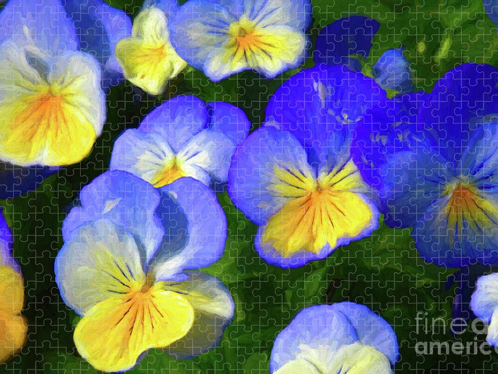 Pansies Jigsaw Puzzle featuring the photograph Cool Wave Morpho Pansies by Diana Mary Sharpton