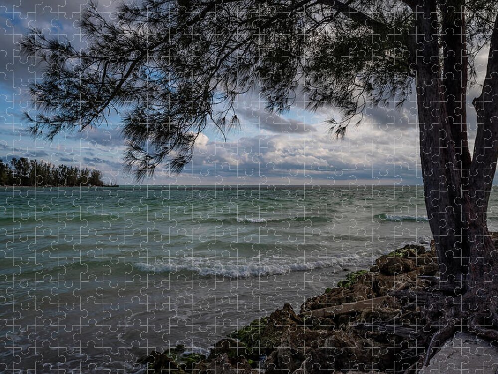 Anna Maria Island Jigsaw Puzzle featuring the photograph Coquina Beach End by ARTtography by David Bruce Kawchak