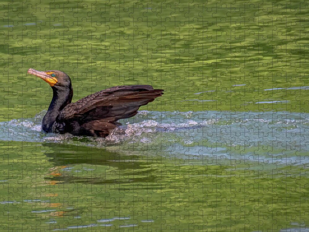 Cormorant Jigsaw Puzzle featuring the photograph Cormorant Strikes a Pose by Marcy Wielfaert