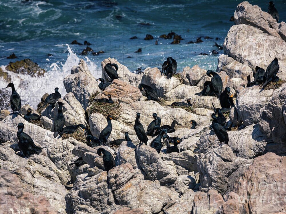 Cormorants Jigsaw Puzzle featuring the photograph Cormorants Colony at Stony Point by Eva Lechner