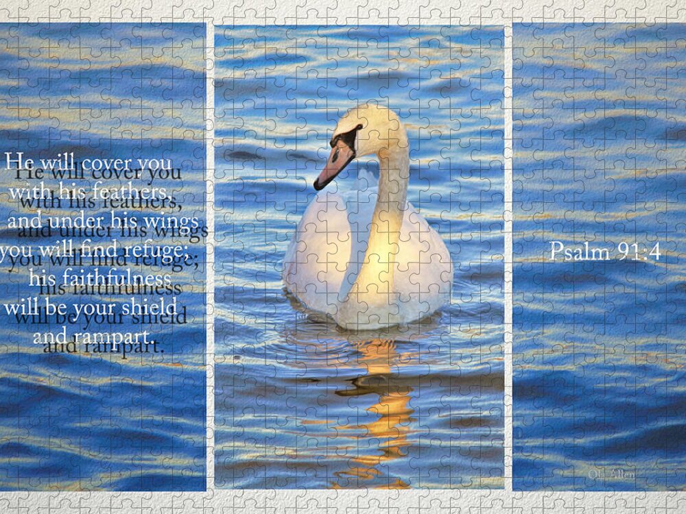 Swan Jigsaw Puzzle featuring the photograph Covering You With His Feathers by Ola Allen