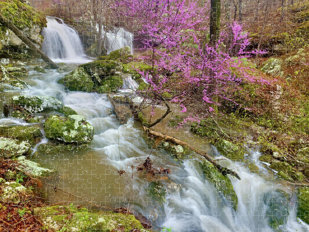 Spring Jigsaw Puzzle featuring the photograph Coward's Hollow Shut-ins II by Robert Charity