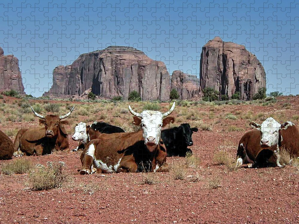 Monument Valley Jigsaw Puzzle featuring the photograph Cows in the Mittens by Louis Dallara