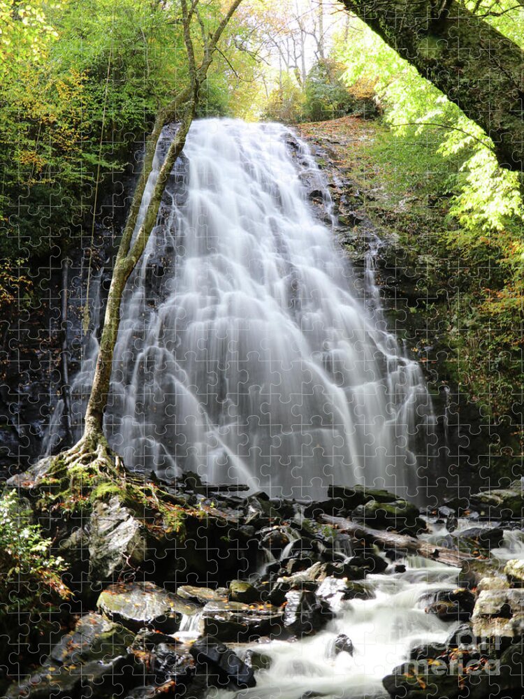 Crabtree Falls Jigsaw Puzzle featuring the photograph Crabtree Falls 0701 by Jack Schultz