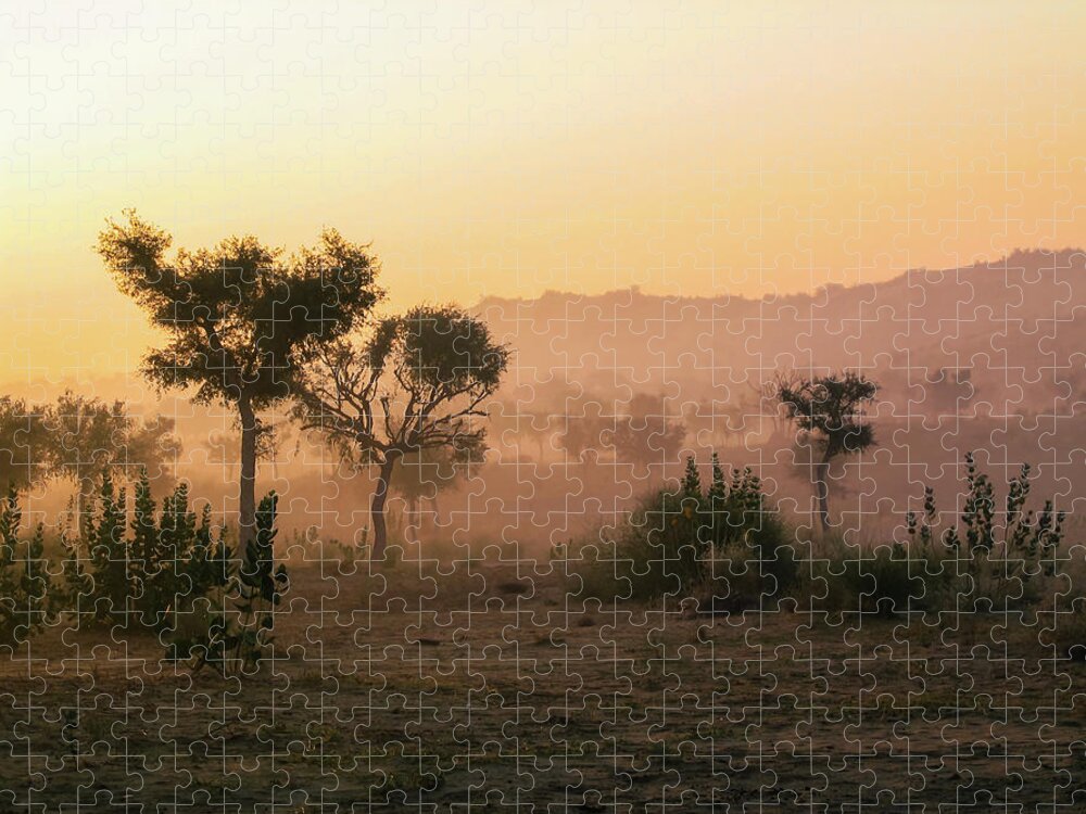 Dawn Jigsaw Puzzle featuring the photograph Crack of Dawn 2 by Aashish Vaidya
