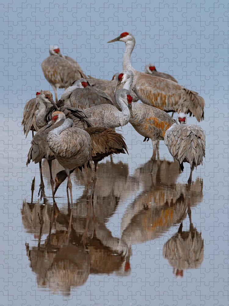 Sandhill Cranes Jigsaw Puzzle featuring the photograph Crane Stack by Mary Hone