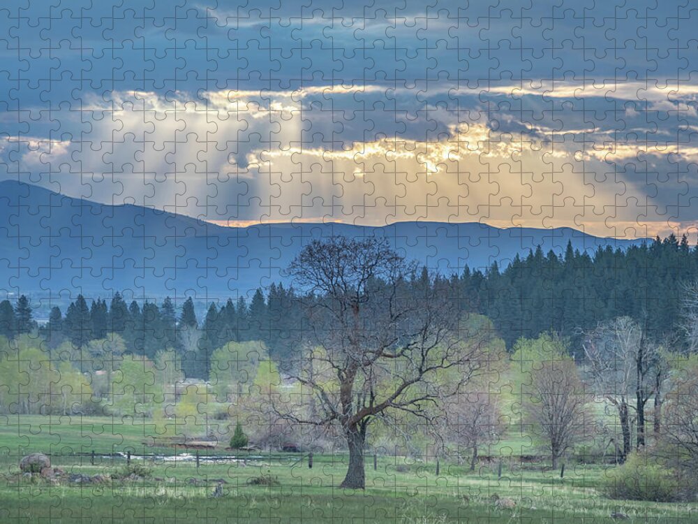 Sun Jigsaw Puzzle featuring the photograph Crepuscular by Randy Robbins