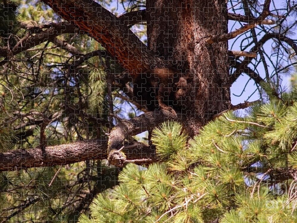 Wildlife Jigsaw Puzzle featuring the photograph cub in El Dorado National Forest, California, U.S.A.-5 by PROMedias US