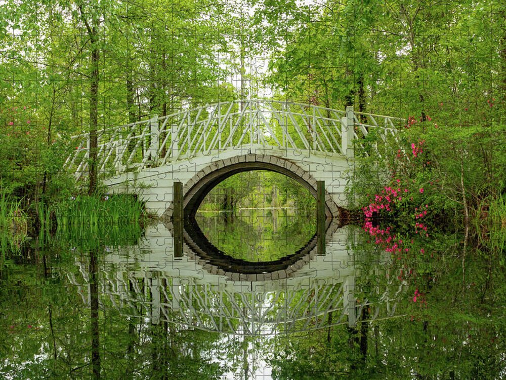 Nature Jigsaw Puzzle featuring the photograph Cypress Gardens Bridge by Cindy Robinson
