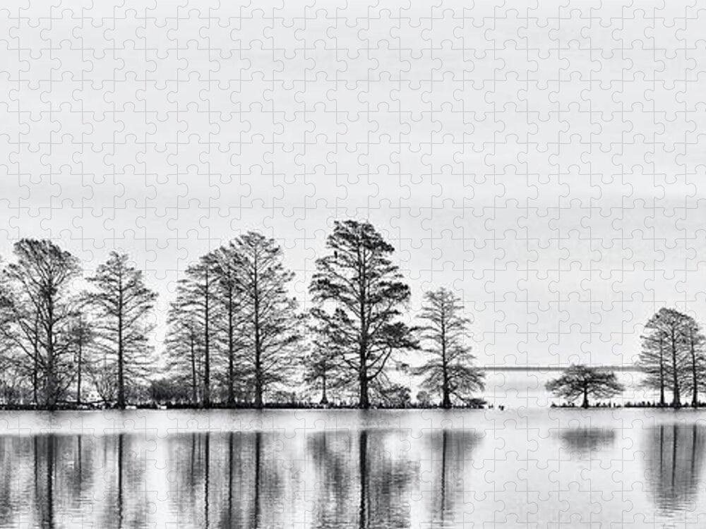 Lake Mattamuskeet National Wildlife Reserve Jigsaw Puzzle featuring the photograph Cypress Trees at Lake Mattamuskeet NWR by Bob Decker