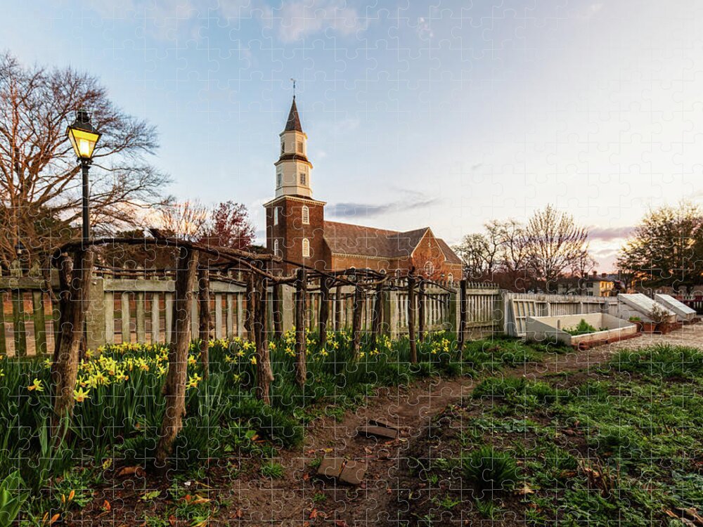 Colonial Williamsburg Jigsaw Puzzle featuring the photograph Daffodils in the Morning by Rachel Morrison