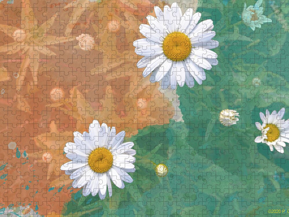 Daisy Jigsaw Puzzle featuring the photograph Daisies Burst of Color by Paul Giglia